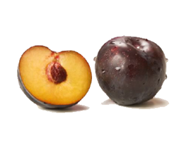 Ciruelo