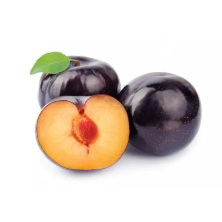 Ciruelo