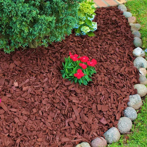 Mulch color marron