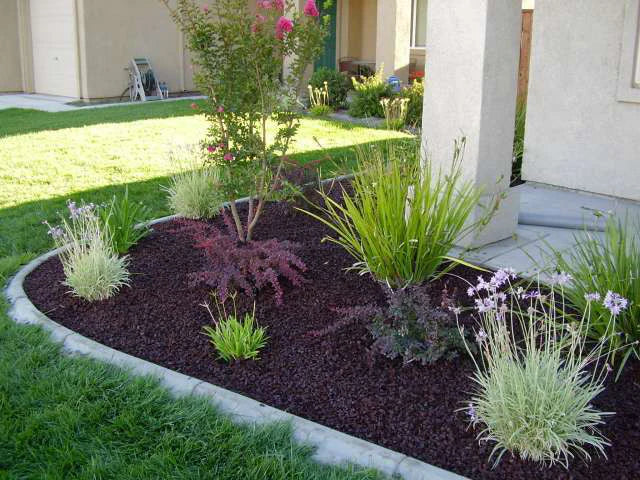 Mulch color marron