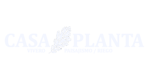 Vivero Casa Planta